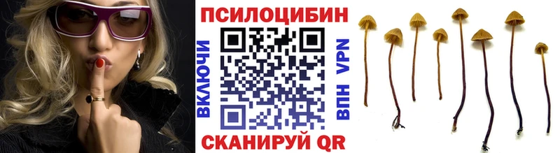 Галлюциногенные грибы мицелий  купить наркоту  Ядрин 