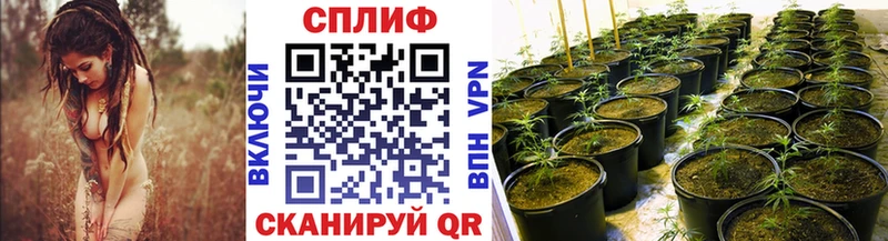 Канабис семена  KRAKEN как войти  Ядрин 